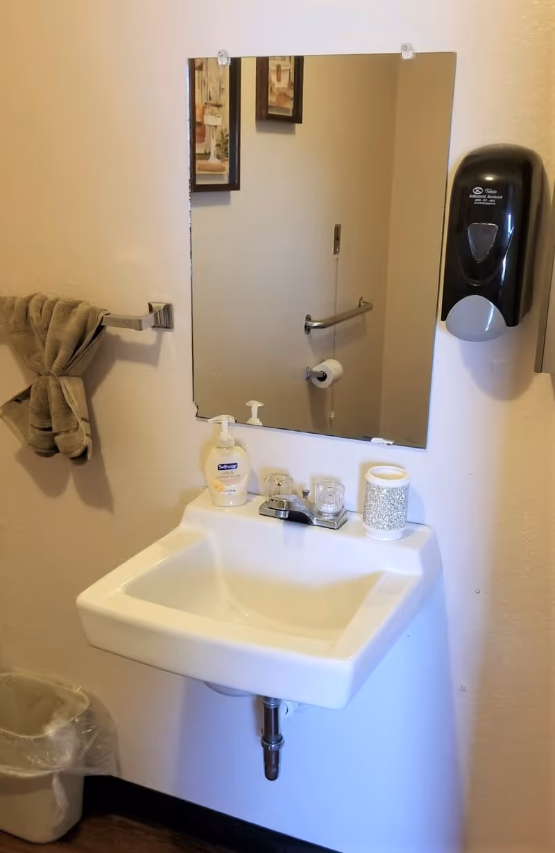 A small bathroom sink with a mirror above it. On the sink are a bottle of Softsoap hand soap and a decorative container. To the right of the mirror is a black soap dispenser mounted on the wall. A towel is hanging on a towel rack to the left of the sink. A trash can with a plastic liner is visible below the towel rack. The reflection in the mirror shows a grab bar and a toilet paper holder with a roll of toilet paper.