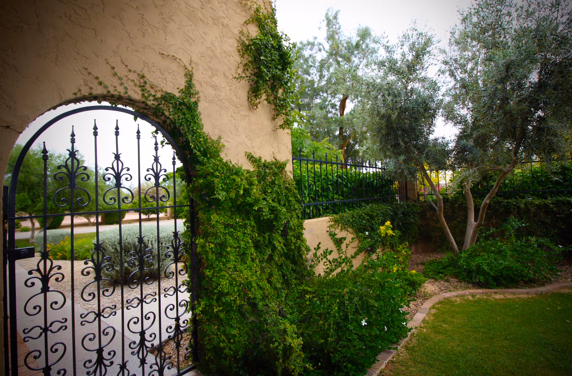 A garden area with a decorative black wrought iron gate set in a beige stucco wall partially covered with green ivy. The garden features various green shrubs, a tree, and a neatly trimmed lawn bordered by a curved brick edge.