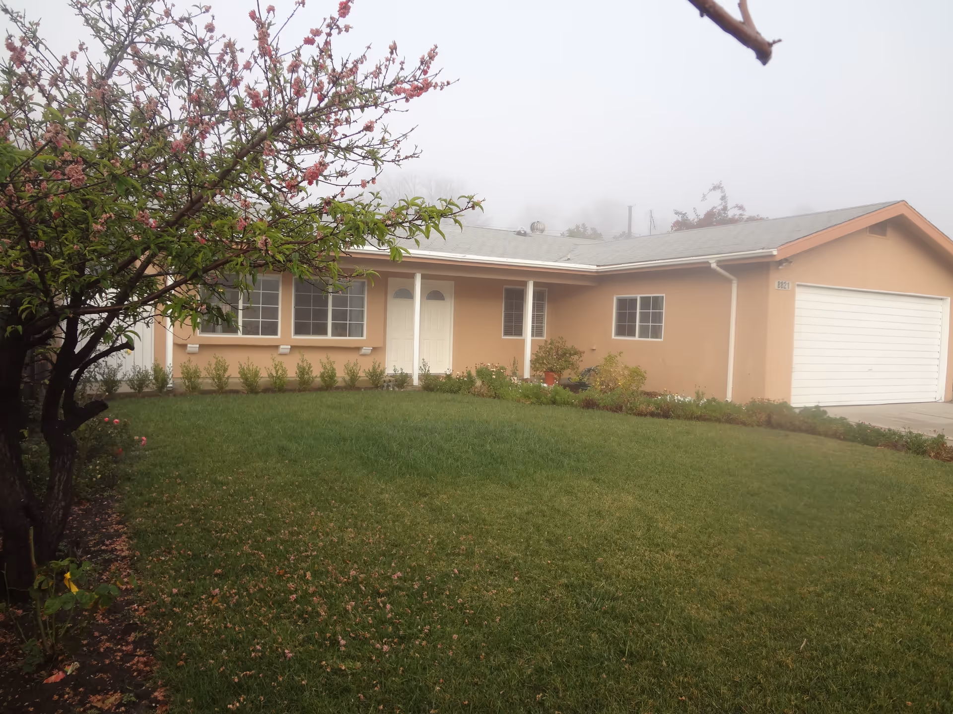 Single-story peach-colored house with a green front lawn, a blossoming tree, and an attached garage.