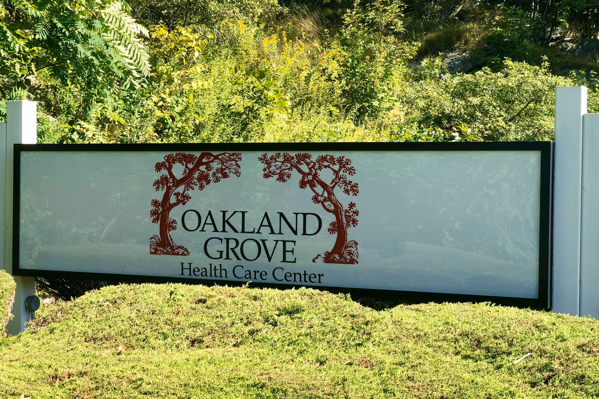 A large outdoor sign for Oakland Grove Health Care Center with two stylized red trees on either side of the text, surrounded by green bushes and trees in the background.