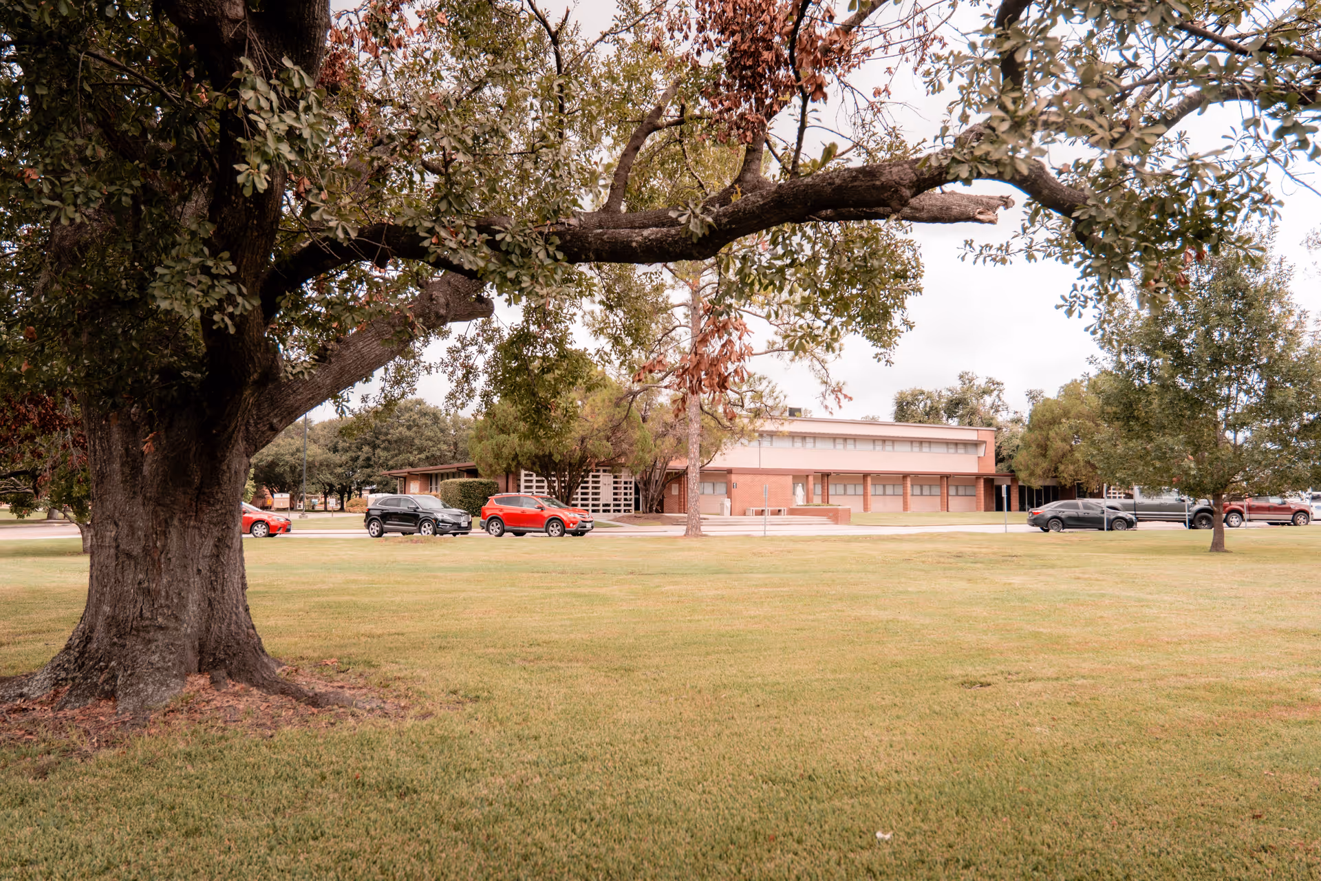 Photo 2 of St. Dominic Village