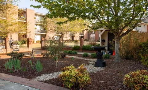 Courtyard garden with trees, shrubs, a birdbath and a multi-story residential building with balconies in the background.