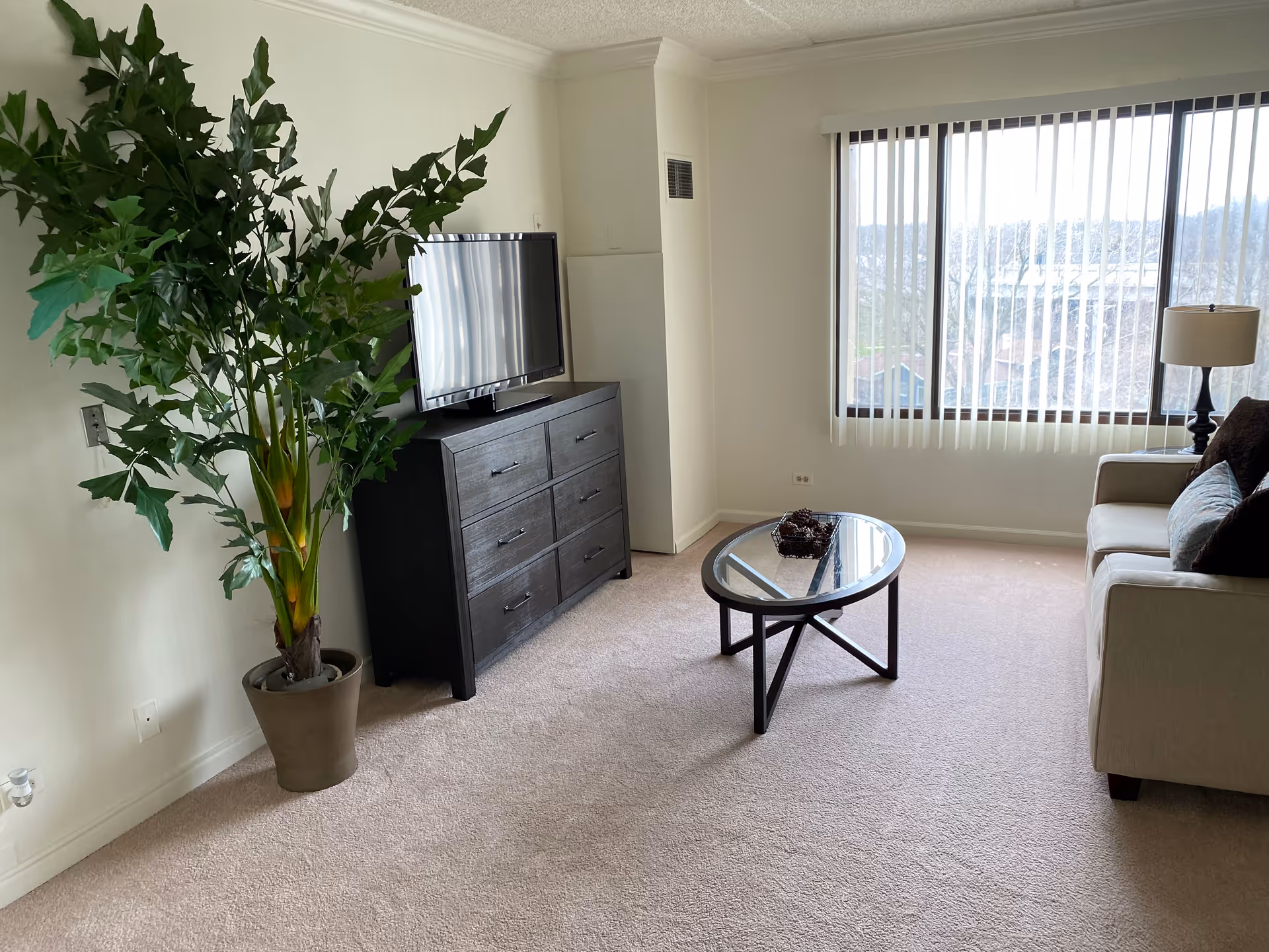 A bright living room with a large window covered by vertical blinds, a beige sofa with cushions, a glass coffee table with decorative items, a dark wooden dresser with a flat-screen TV on top, and a tall potted plant in the corner.