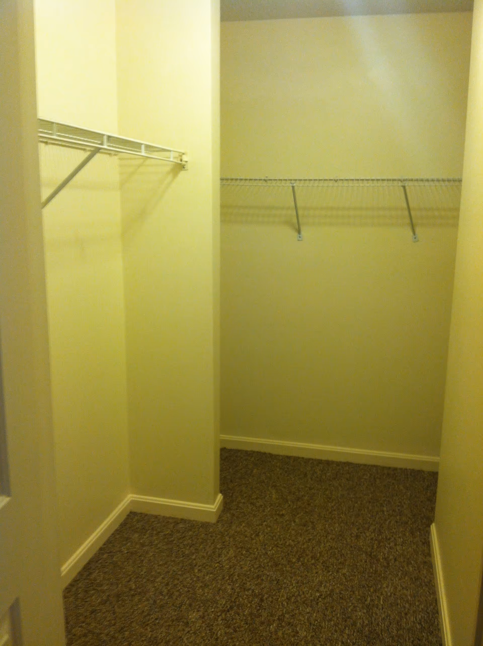 Empty walk-in closet with beige walls, brown carpeted floor, and white wire shelving on two walls.