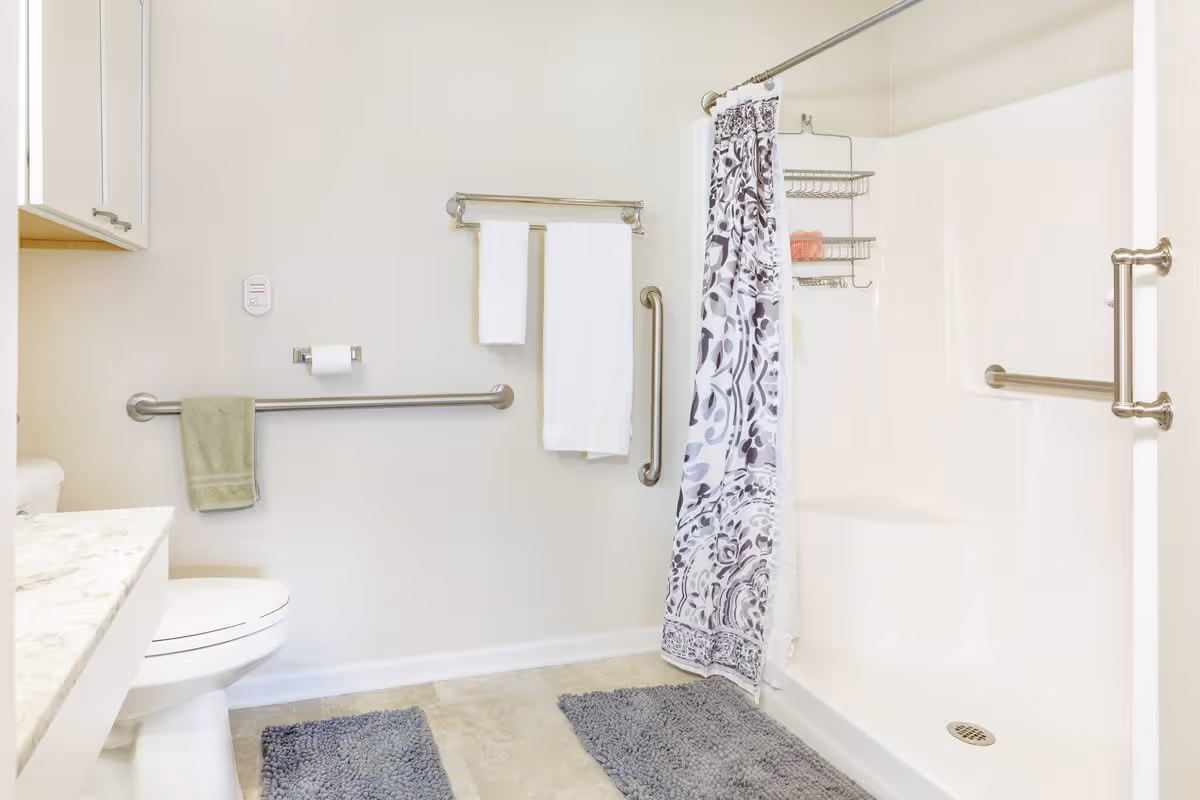 A clean and accessible bathroom featuring a white toilet, a countertop with a marble-like surface, grab bars on the walls near the toilet and inside the shower, a shower with a patterned curtain, and two gray bath mats on the floor.