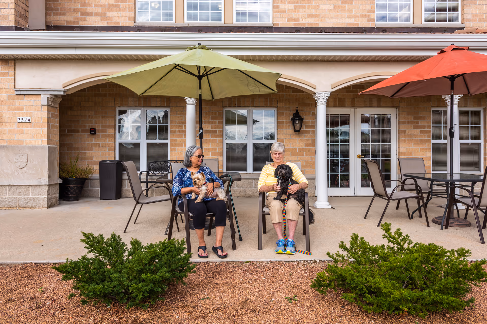 Two elderly women sitting outside on patio chairs under umbrellas, each holding a small dog. They are in front of a brick building with windows and a door, with some greenery and landscaping in the foreground.