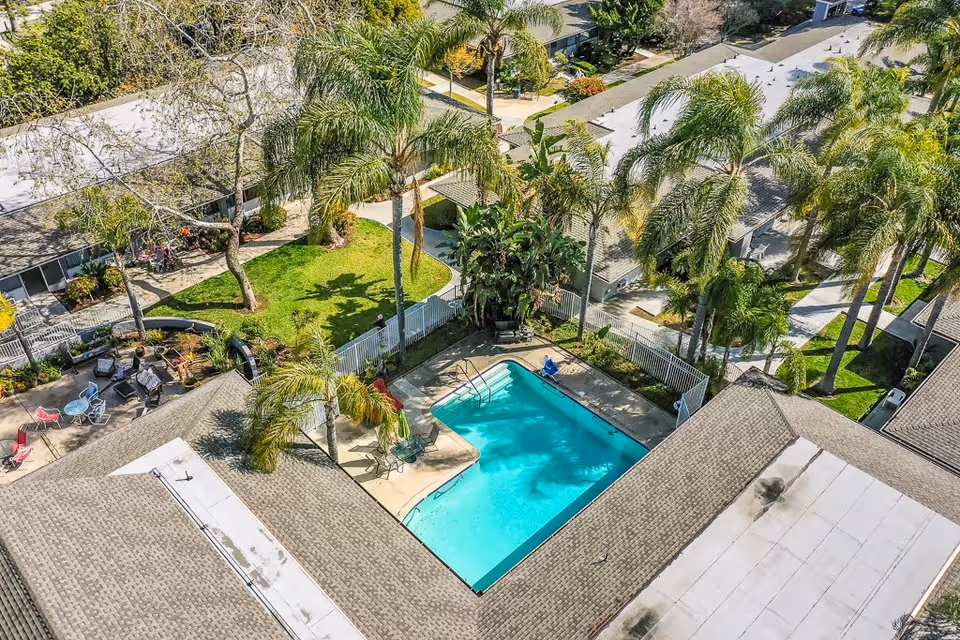 Aerial view of an outdoor swimming pool surrounded by palm trees and buildings at Monte Vista Village. There is a small seating area with chairs and tables nearby, along with green lawns and walkways.