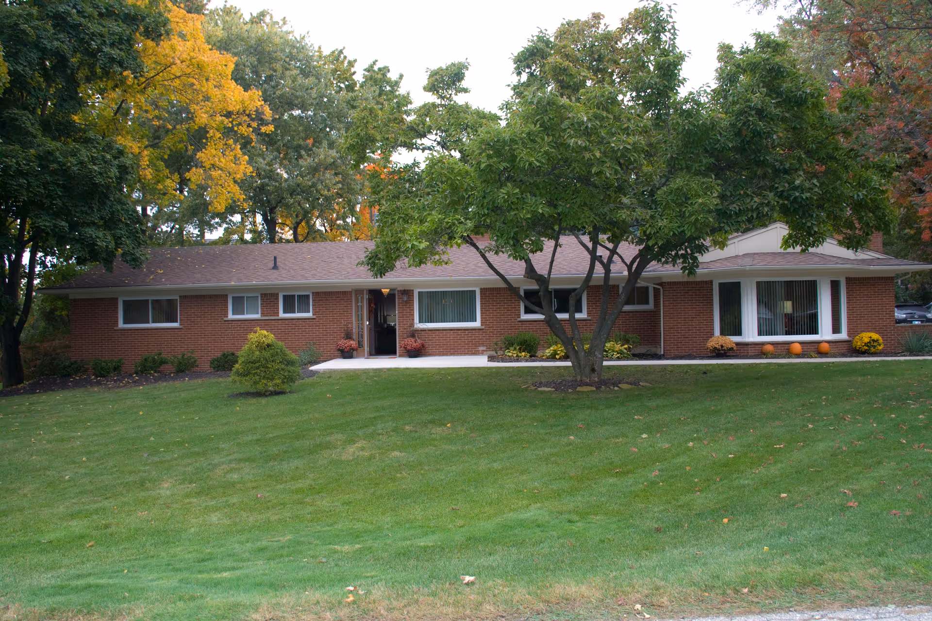 Single-story red-brick building with a wide green lawn, a front tree, and shrubs flanking the entrance.