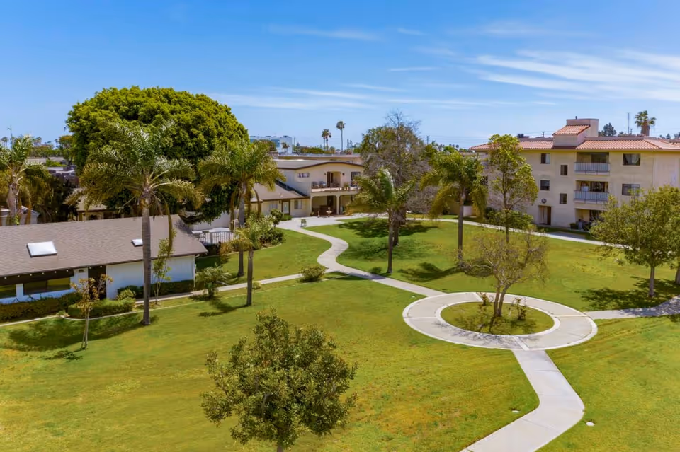 Outdoor view of Sea Cliff Assisted Living facility showing a well-maintained green lawn with several trees and palm trees. There are paved walking paths, including a circular path around a small tree. The background features multiple residential buildings under a clear blue sky.