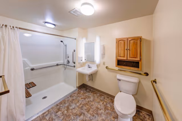 Accessible bathroom with a walk-in shower and grab bars, toilet, sink, and wooden wall cabinet.