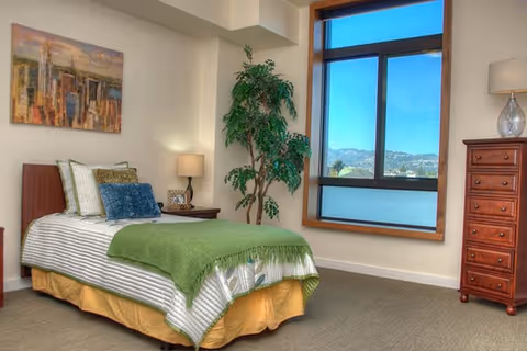 A neatly made single bed with striped bedding, green throw blanket, and multiple pillows in a well-lit bedroom. There is a wooden nightstand with a lamp and decorative items beside the bed, a tall green plant in the corner, a large window with a view of hills and blue sky, a wooden chest of drawers with a lamp on top, and a colorful abstract painting on the wall.