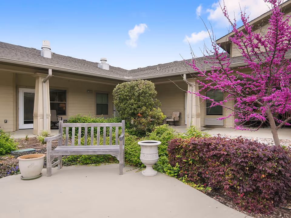 Courtyard with a wooden bench, planters, a purple-flowering tree, and a beige single-story building with covered walkways.