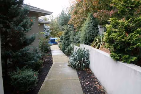 A narrow concrete walkway lined with shrubs and trees beside a senior care facility.
