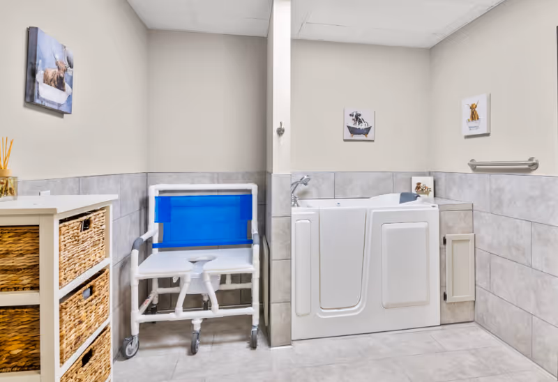 Accessible bathroom with a walk-in bathtub, shower chair on wheels, wicker storage cabinet and animal artwork on the walls.