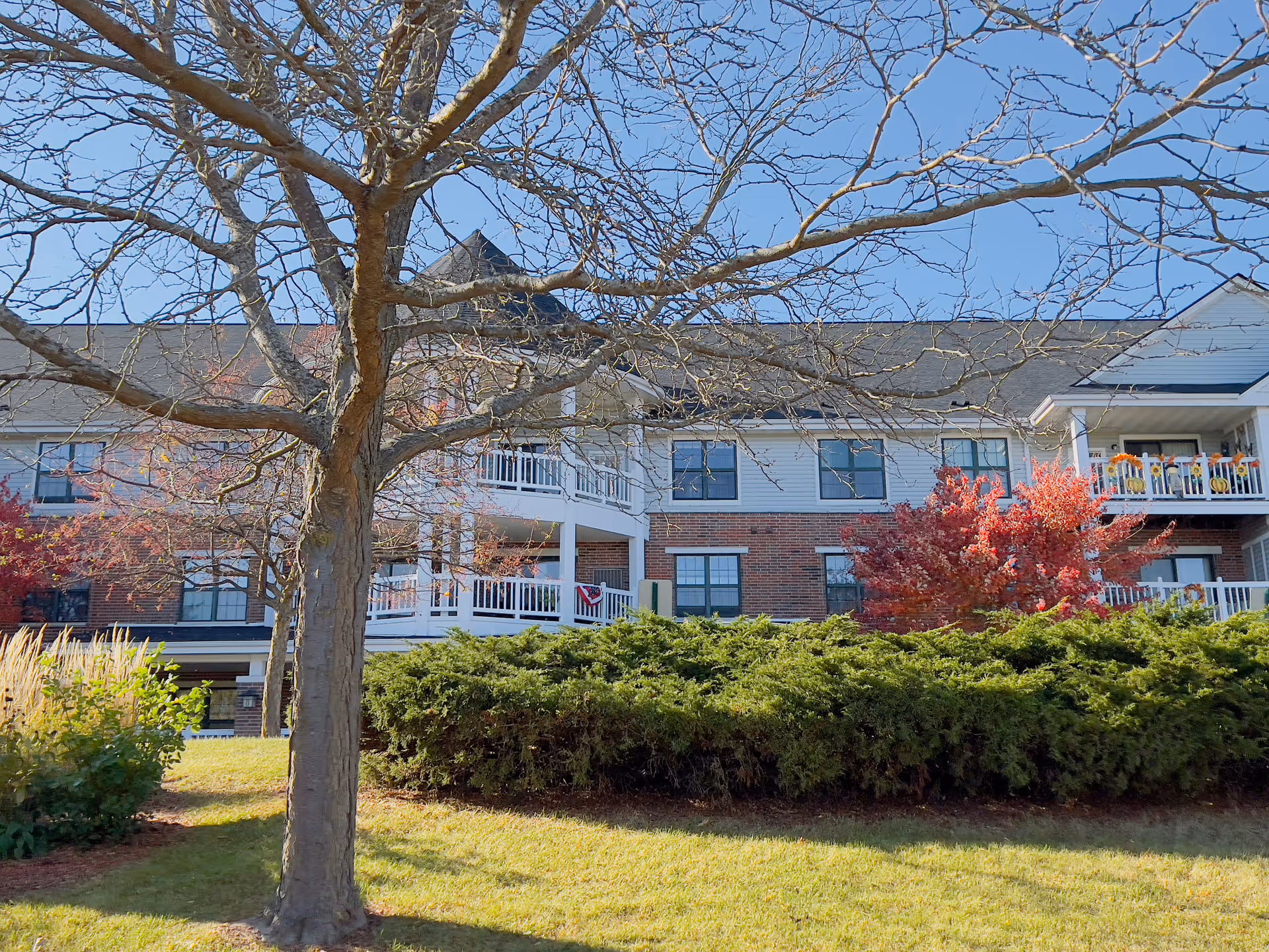 Exterior view of a multi-story senior living facility building with white balconies, brick and siding walls, surrounded by green bushes and trees with autumn foliage under a clear blue sky.