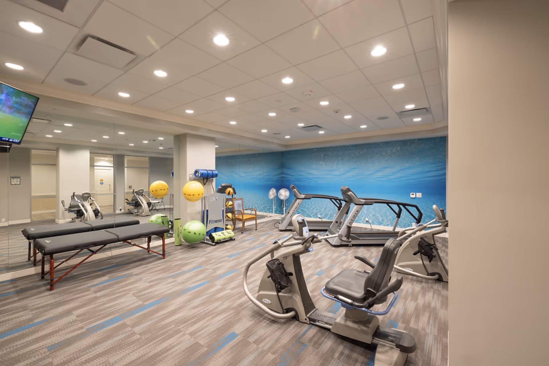 Bright fitness room with treadmills, recumbent bikes, exercise balls, and treatment tables in front of a blue aquatic mural.