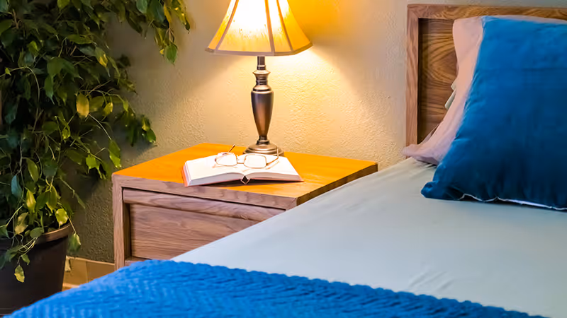 A cozy bedroom corner with a wooden nightstand holding a lit table lamp, an open book, and a pair of eyeglasses. The bed next to the nightstand has a blue pillow and a blue blanket. A green leafy plant is visible in the background.