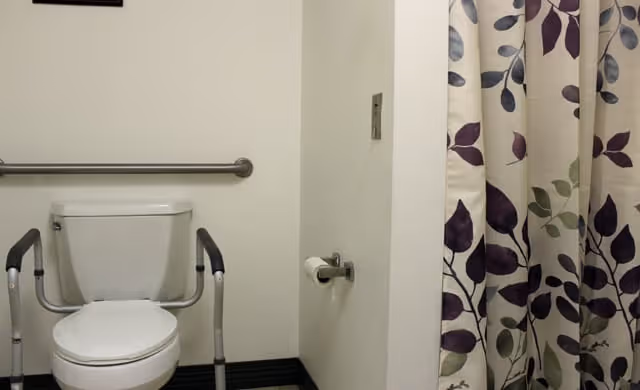 A bathroom with a toilet equipped with safety rails on both sides and a grab bar mounted on the wall behind it. There is a toilet paper holder attached to the wall and a shower curtain with a leaf pattern in shades of purple and green.