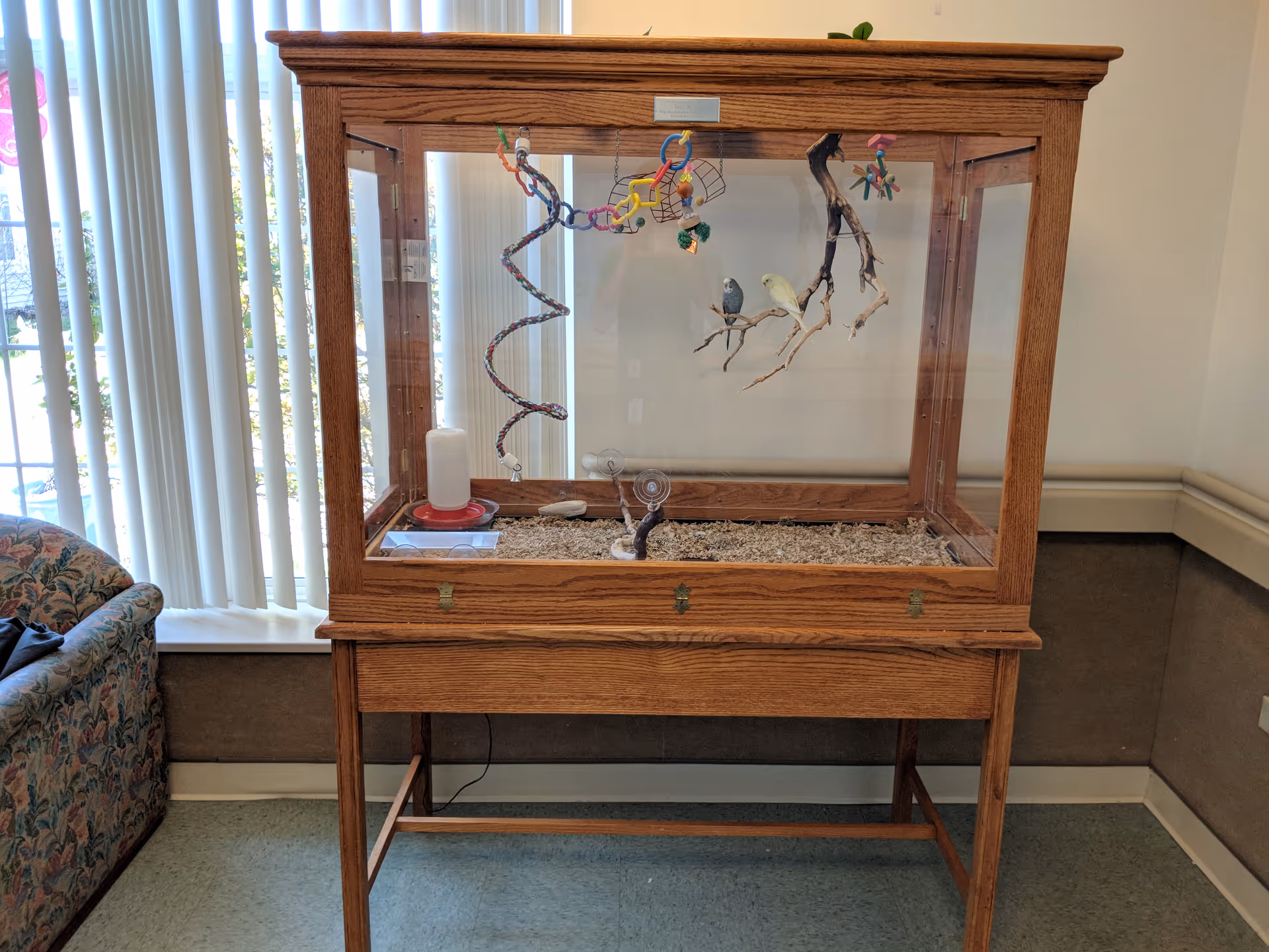 Wooden glass-fronted bird enclosure on a stand containing two small birds and toys in a room with vertical blinds and a patterned couch.