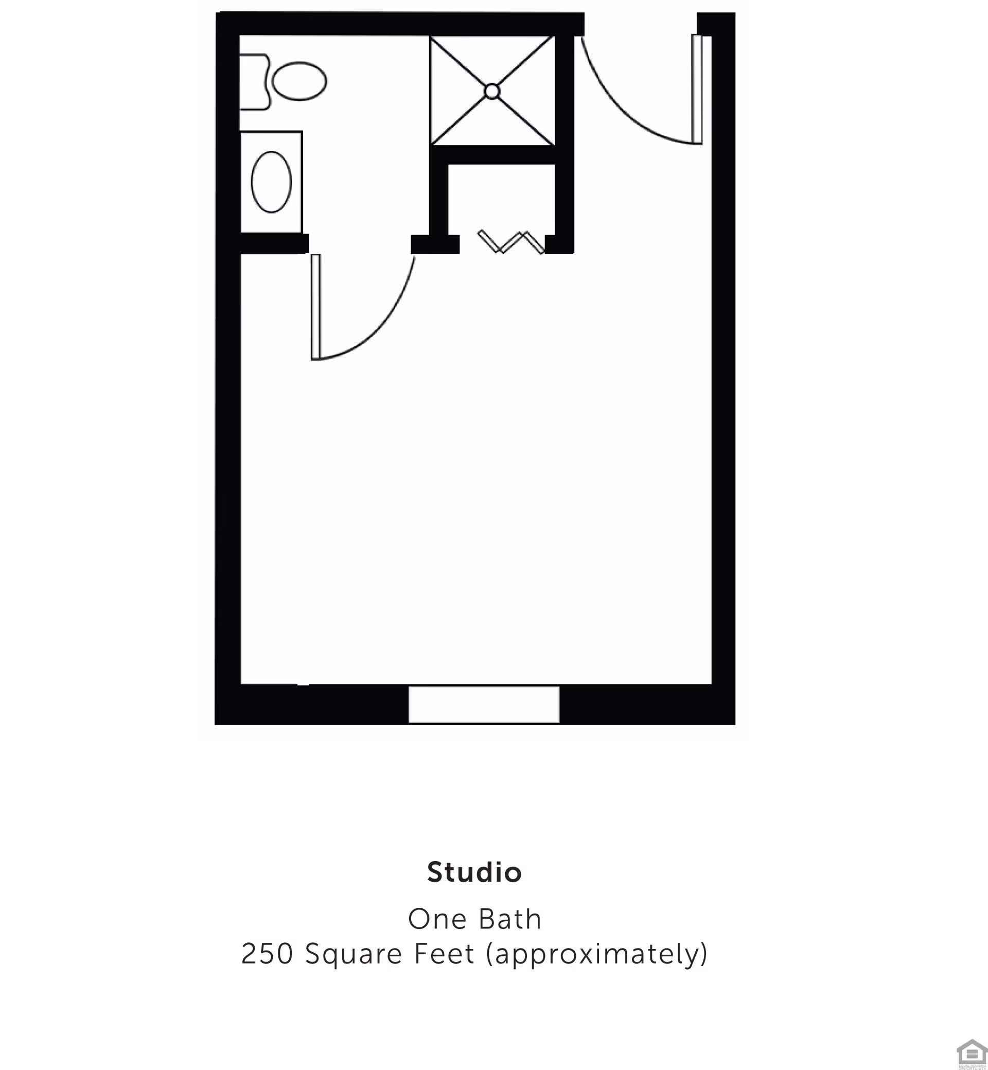 Floor plan of a studio apartment with one bathroom, approximately 250 square feet. The layout shows a main living area, a bathroom with a toilet and sink, and a shower area. There is an entrance door and a window opposite the bathroom.