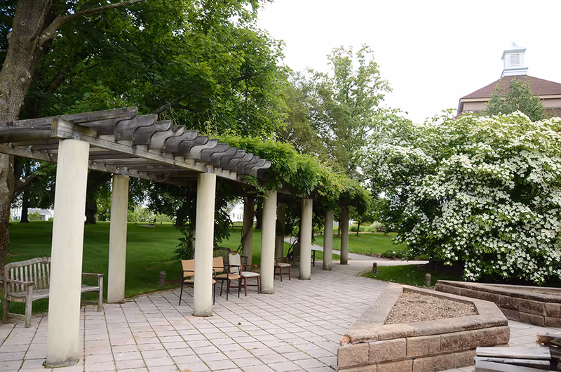 Outdoor patio area with a pergola supported by columns, several chairs underneath, surrounded by green grass, trees, and a large flowering bush. A building with a cupola is partially visible in the background.