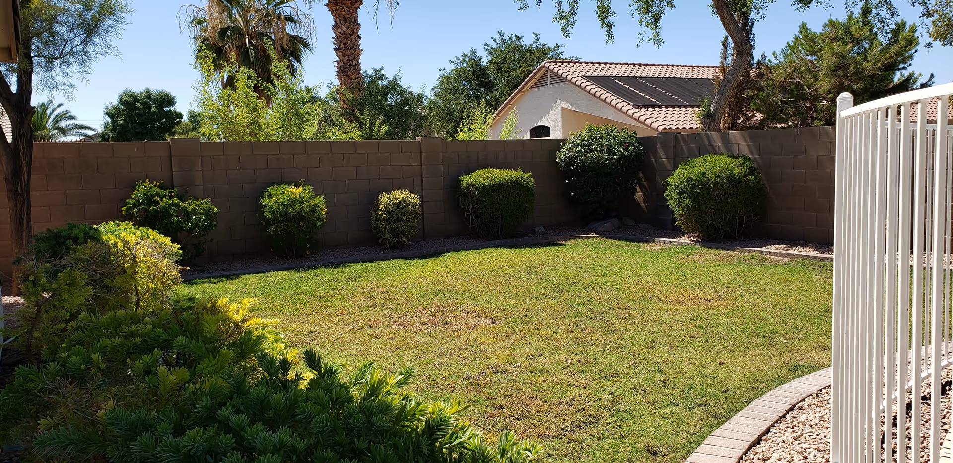 Backyard lawn with trimmed shrubs, a cinderblock wall, trees, and a white metal fence at the right.