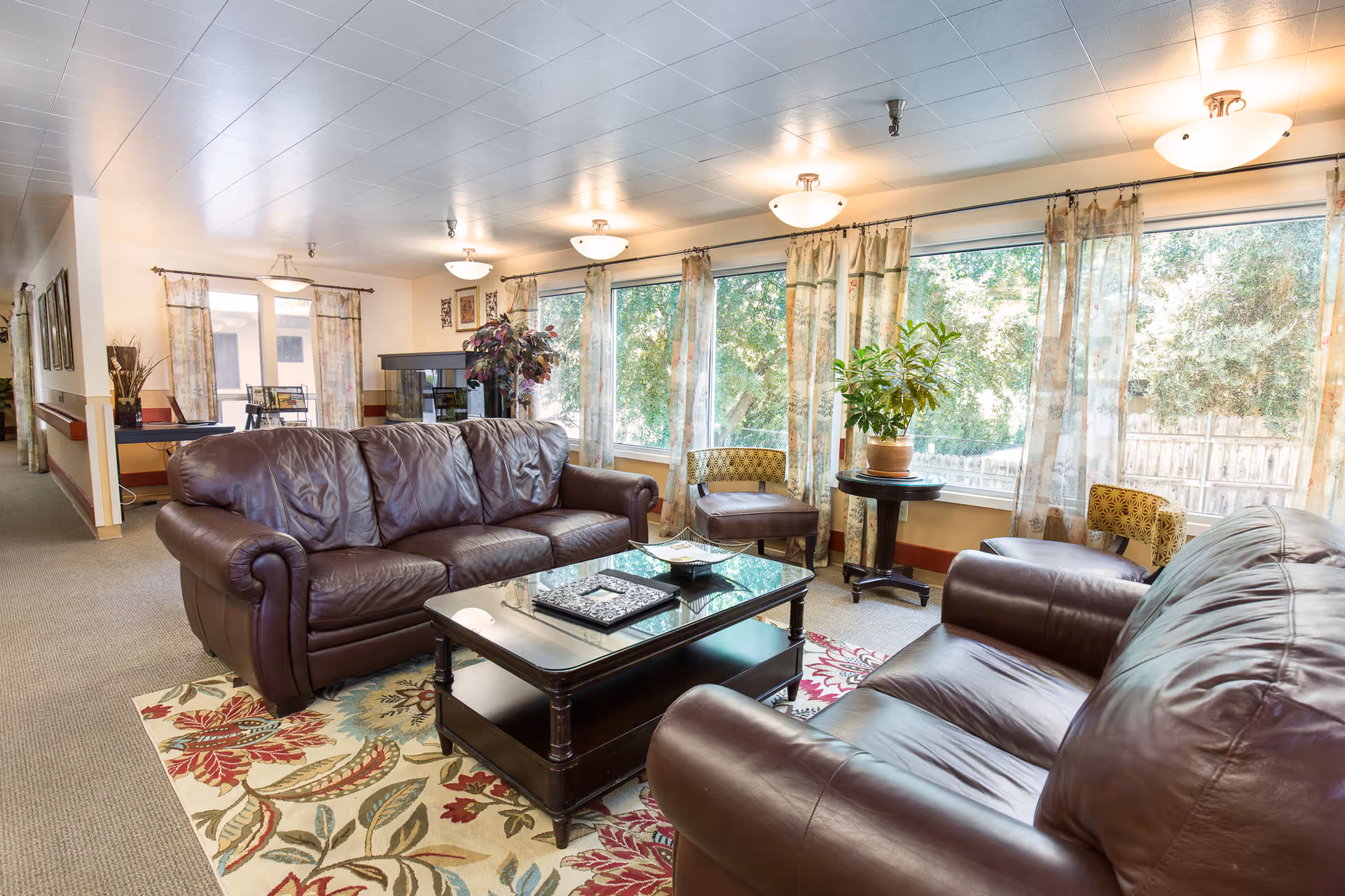 A bright and cozy living room area with two dark brown leather sofas facing each other, a glass-top coffee table in the center, and a colorful floral rug underneath. Large windows with sheer curtains allow natural light to fill the room, and there are plants and framed pictures decorating the space.