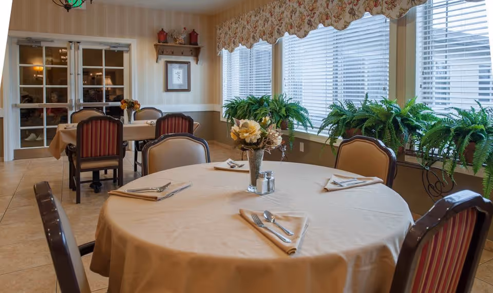 Round table set with napkins, cutlery, and a floral centerpiece in a bright dining room with multiple chairs and large windows lined with potted ferns.