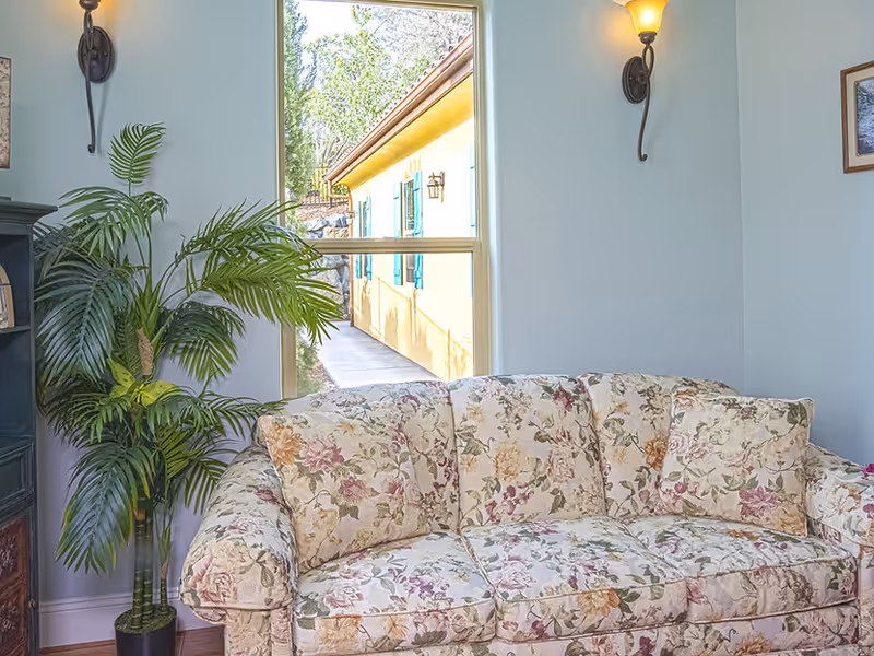A floral patterned sofa in a light blue painted room with a large window showing an outdoor view of a yellow building with blue shutters. There is a tall green potted plant next to the sofa and a wall-mounted light fixture above it.