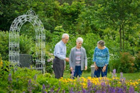 Three elderly individuals standing and walking in a lush garden with green trees, colorful flowers, and a white metal archway in the background.