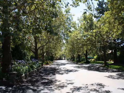 Tree-lined outdoor walkway with shade and plant beds along a senior living campus.