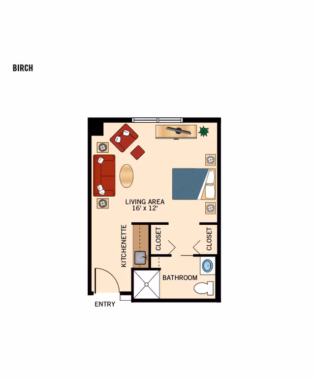 Floor plan labeled "BIRCH" of a studio apartment showing a living area with furniture, kitchenette, bathroom, and closets.