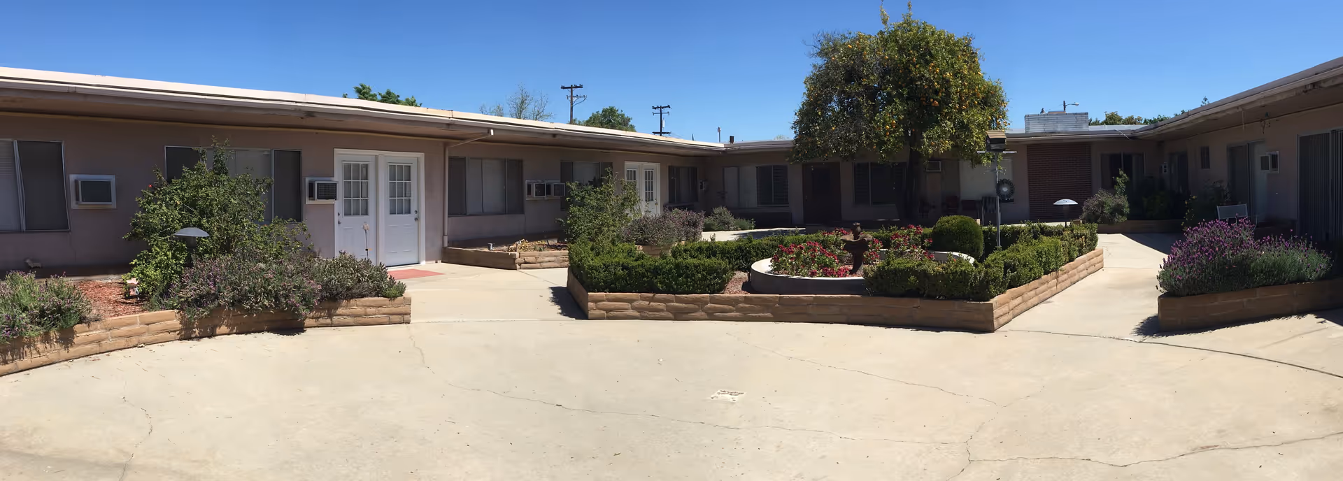 Sunny central courtyard of a single-story senior living building with raised planter beds, a small tree and surrounding apartment entrances.