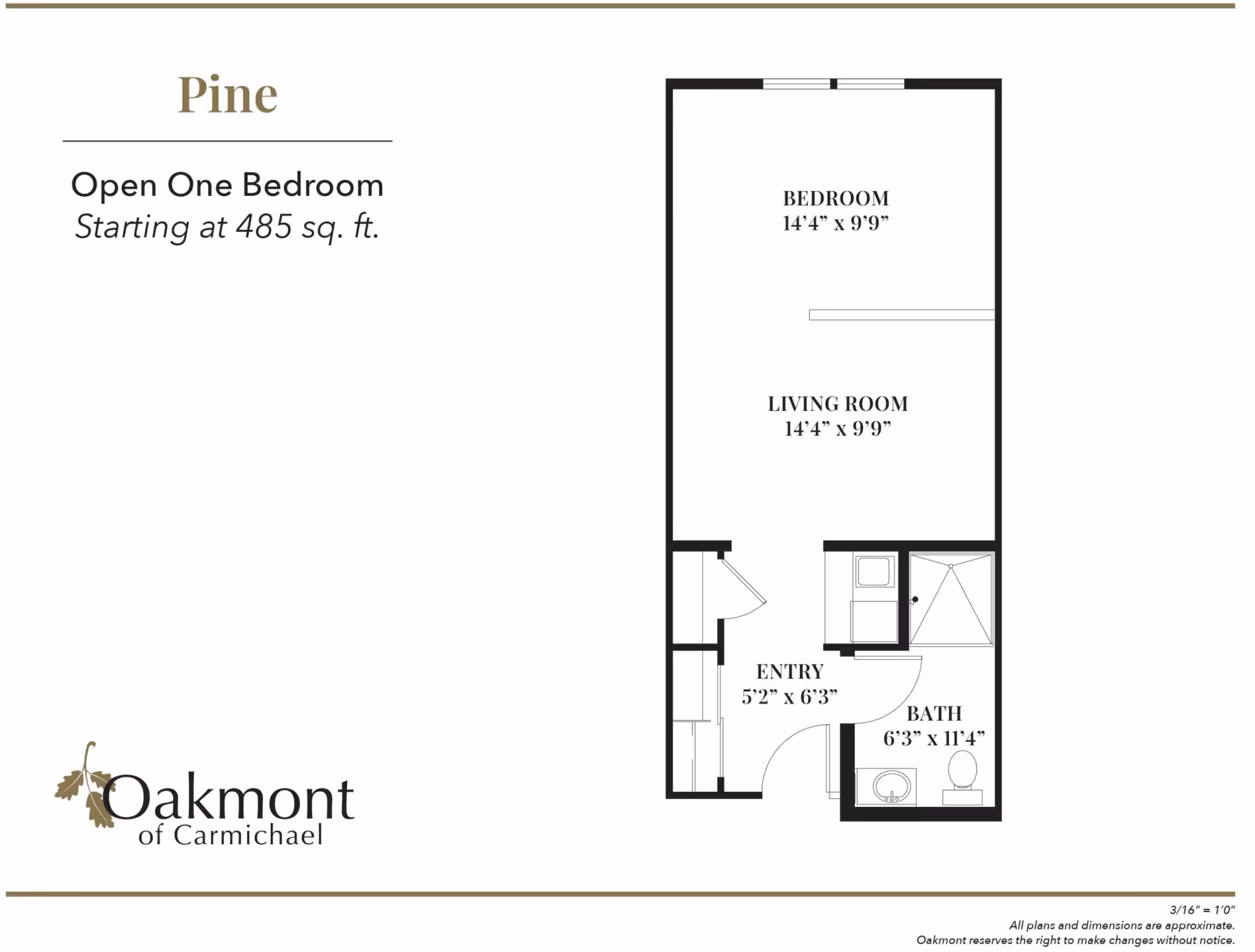 Floor plan titled 'Pine' for an open one-bedroom apartment (starting at 485 sq. ft.) showing bedroom, living room, entry and bath with dimensions.