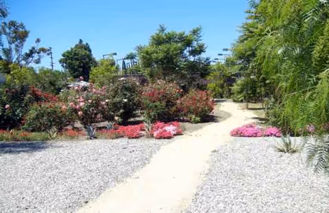 Sunny outdoor garden with a gravel path, colorful flowers, and shrubs.