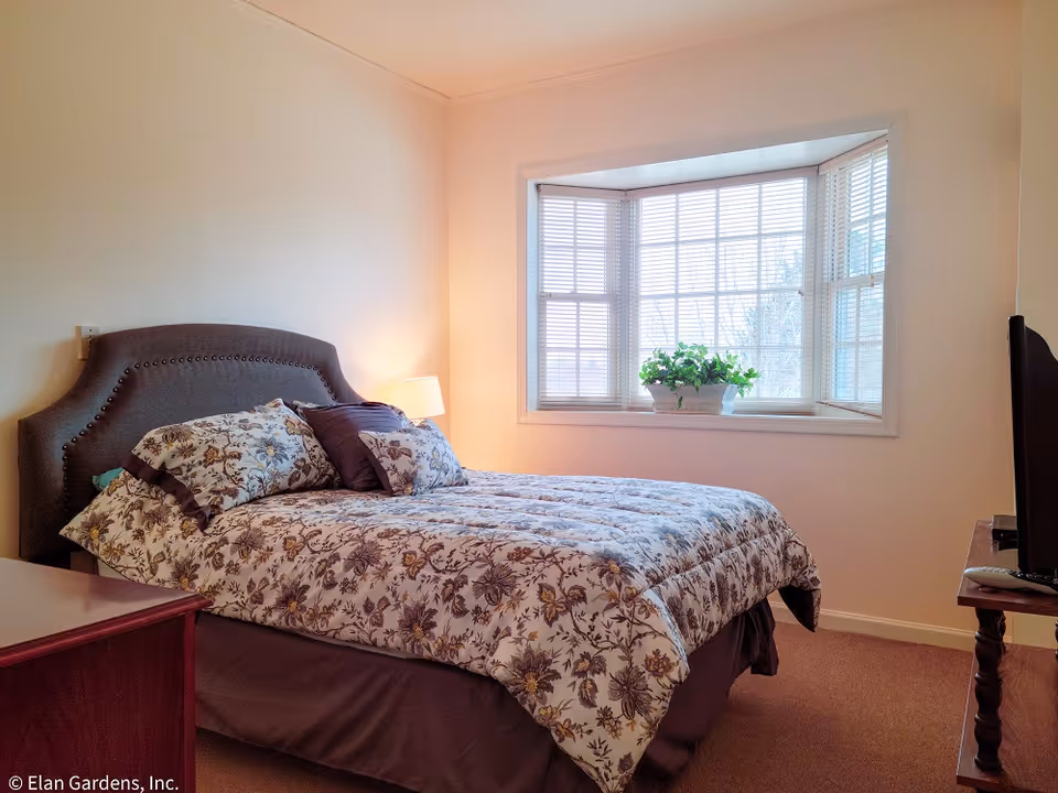 A bright bedroom with a bed dressed in floral bedding, a studded upholstered headboard, a bay window with a potted plant, bedside lamp and a TV.