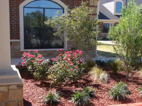 Exterior view of Amarillo Center for Skilled Care with landscaped shrubs and pink flowers.