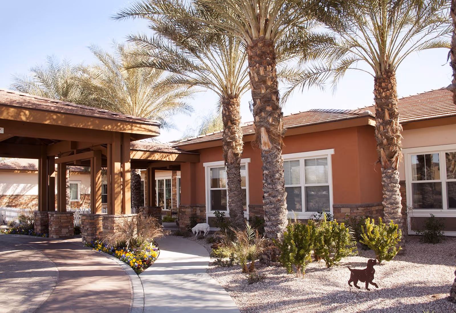 Exterior view of Sunrise of Chandler facility featuring a covered entrance with stone pillars, palm trees, shrubs, and flower beds along a curved walkway under a clear sky.