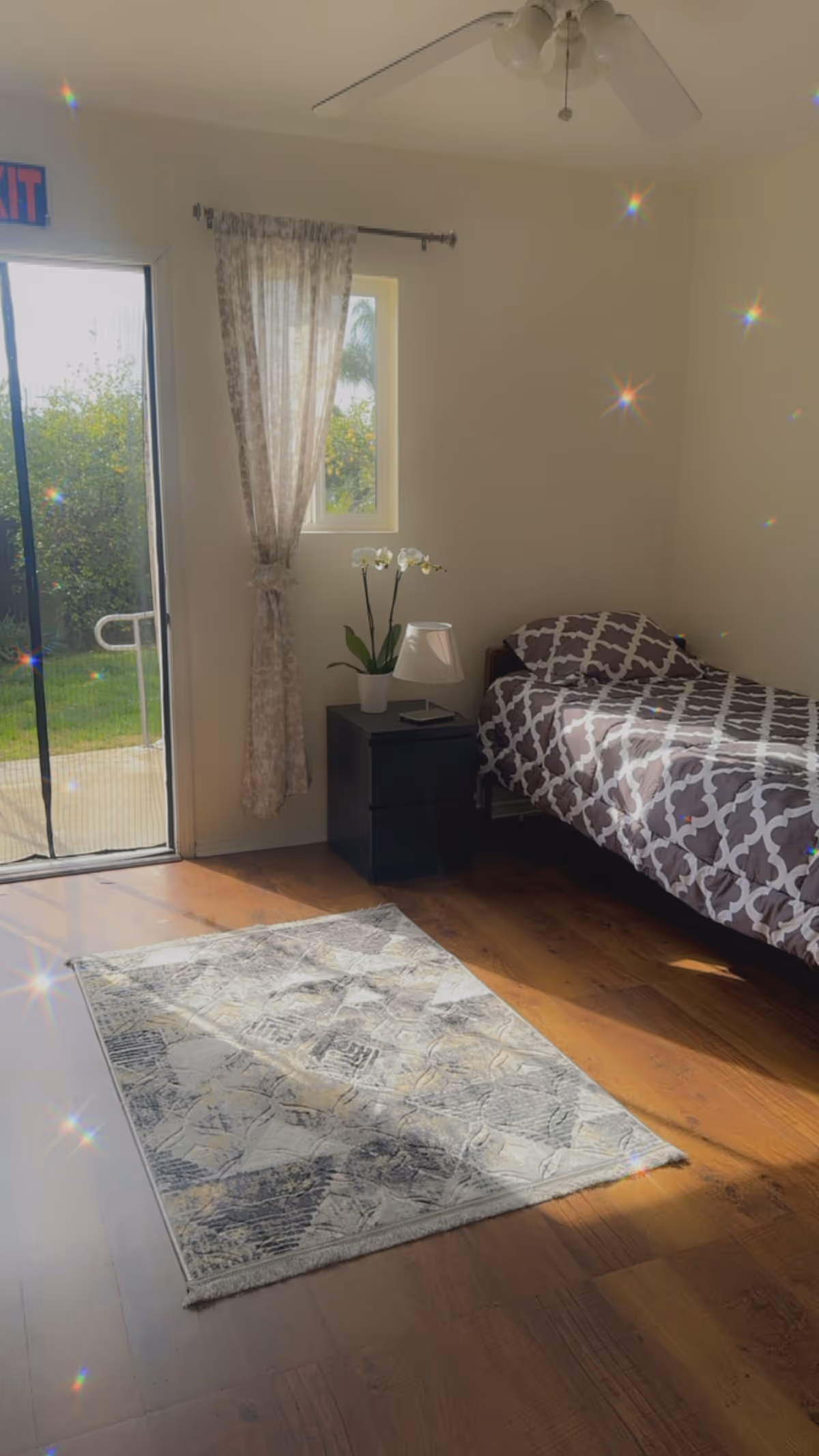 A bright bedroom with a single bed covered in a patterned gray and white comforter. Next to the bed is a black nightstand with a white lamp and a potted orchid. A window with sheer curtains and a sliding glass door letting in natural light are visible. A light-colored patterned rug lies on the wooden floor.