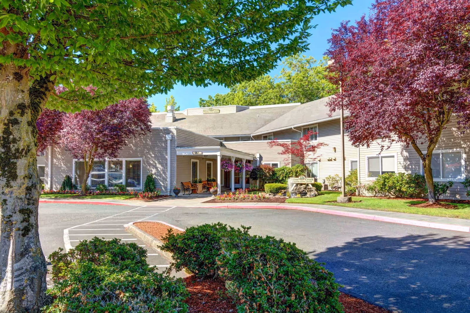 Front entrance of a light-gray senior living building with a covered drop-off, landscaped beds, and trees.