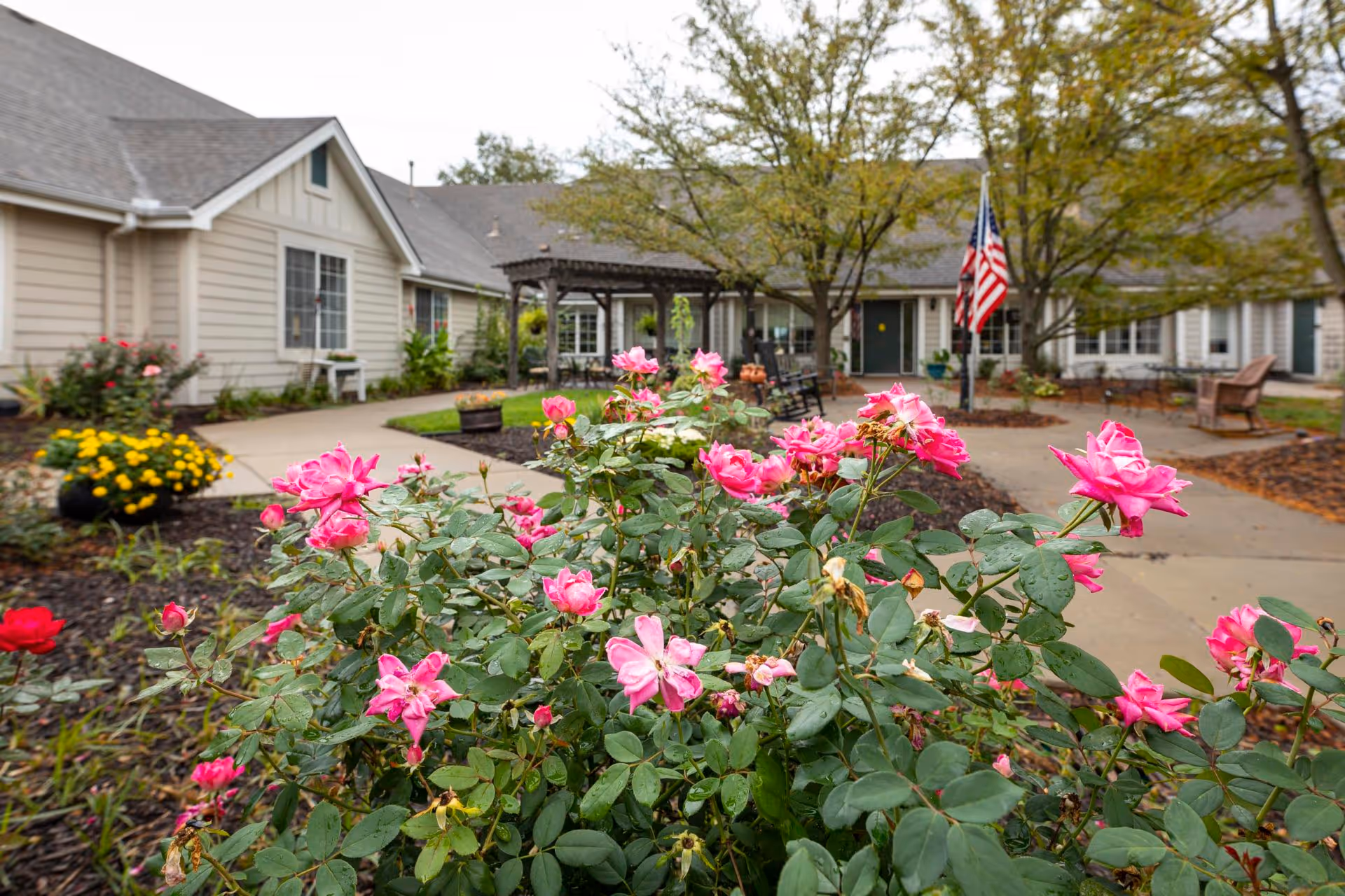 Pink roses in the foreground of a courtyard with walkways, benches, an American flag, and the assisted living building in the background.