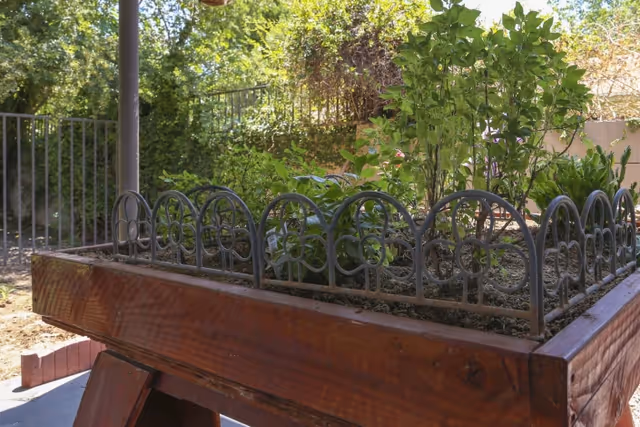 A raised wooden garden bed with metal decorative fencing around the plants. The garden bed contains various green plants and is situated outdoors with trees and bushes in the background.