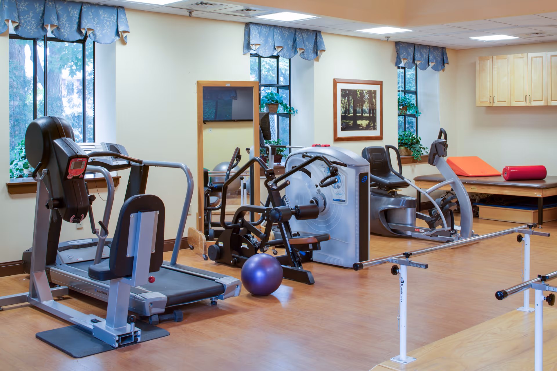 A rehabilitation and exercise room with various fitness equipment including a treadmill, stationary bikes, resistance machines, a purple exercise ball, and parallel bars. The room has wooden flooring, three windows with blue valances, potted plants on the windowsills, a wall-mounted TV, a framed picture, and wooden cabinets on the wall.