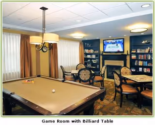 Game room featuring a billiard table with a cue ball and rack of balls, several chairs and tables, a fireplace with a TV mounted above it, and bookshelves filled with books. The room has large windows with curtains and ceiling lights.