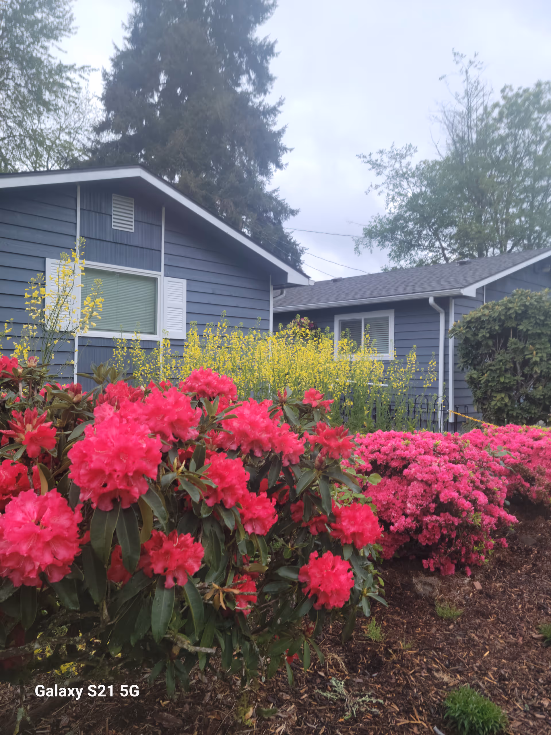 Exterior view of a blue-gray single-story building with white trim, surrounded by vibrant pink and yellow flowering bushes and trees under a cloudy sky.