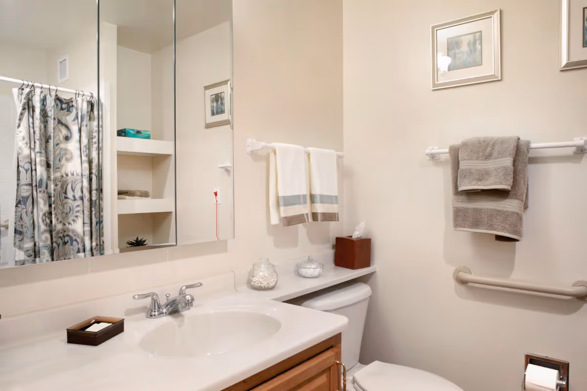 A neatly arranged bathroom with a sink and vanity, mirrored medicine cabinet, toilet, towel racks, grab bar, and a patterned shower curtain.