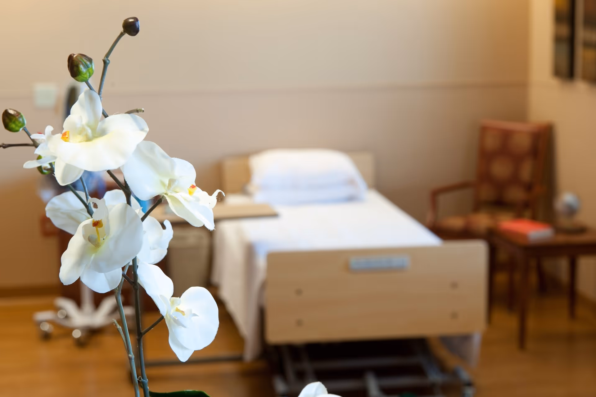 White orchids in the foreground with a single bed, chair, and side table in a senior living bedroom.