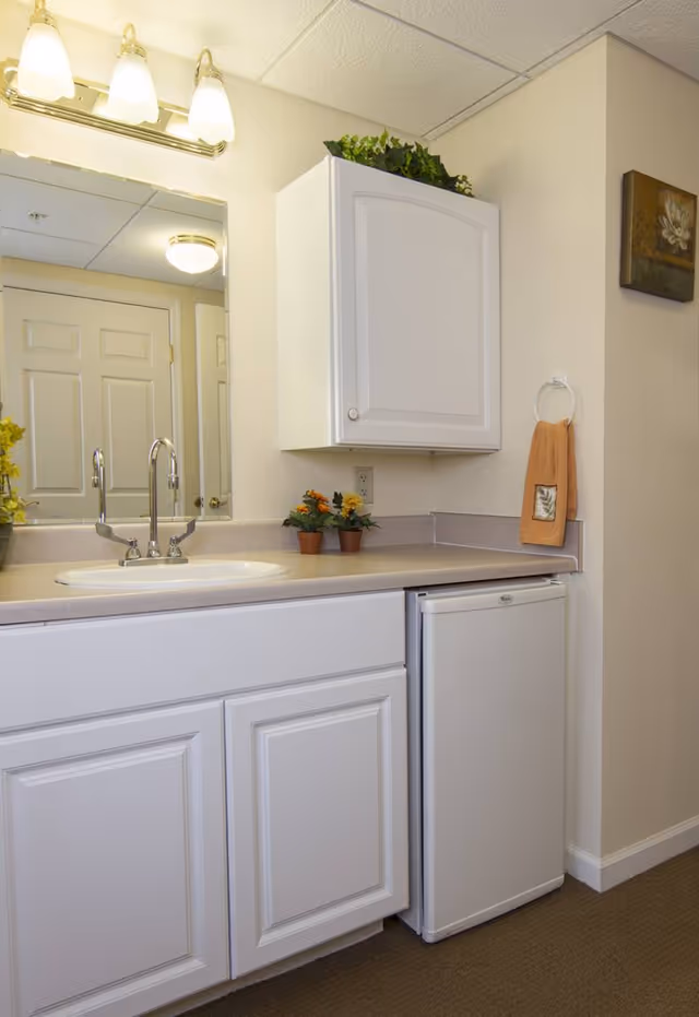 A clean and well-lit bathroom vanity area with a white sink, chrome faucet, white cabinets below and above the counter, a small refrigerator under the counter, two small potted plants on the countertop, a peach-colored hand towel hanging on a ring, and a framed floral artwork on the wall.