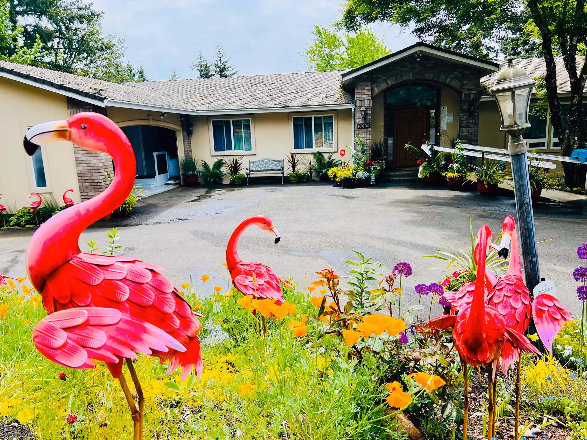 Front exterior view of a single-story adult care home building with a driveway and a garden in the foreground featuring bright pink flamingo lawn ornaments and colorful flowers. The building has beige walls, a shingled roof, and a covered entrance with a wooden door.