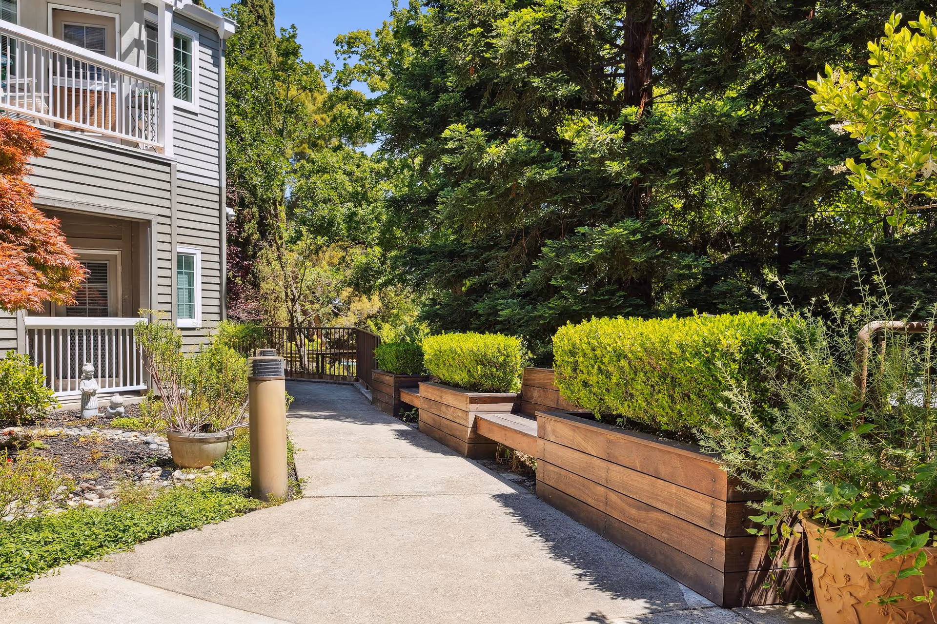 Sunlit outdoor walkway with wooden planters and trimmed shrubs beside a multi-story gray building.